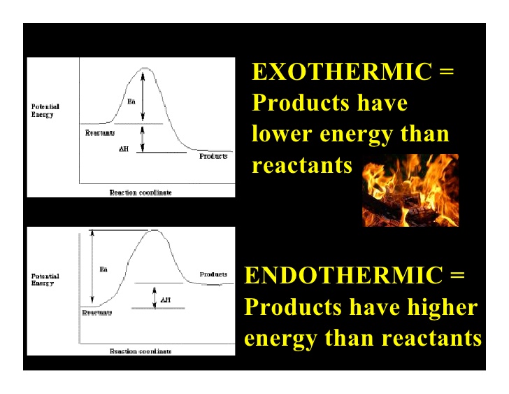 Essay on exothermic and endothermic reactions
